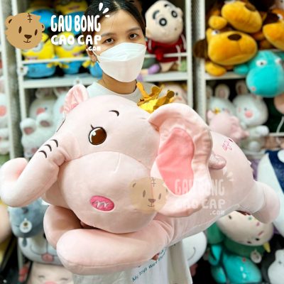 Voi Bông Nằm Đội Vương Miện