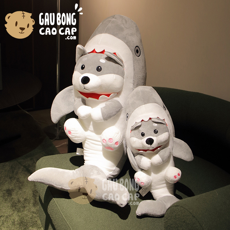 Chó Bông Husky cosplay Cá Mập