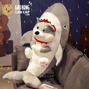 Chó Bông Husky cosplay Cá Mập