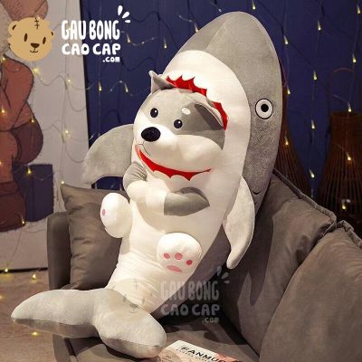Chó Bông Husky cosplay Cá Mập