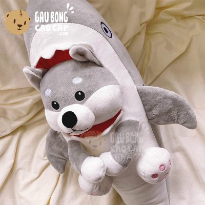 Chó Bông Husky cosplay Cá Mập