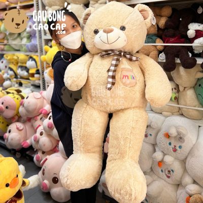 Teddy Smooth Đeo Nơ ngực thêu Bình Sữa