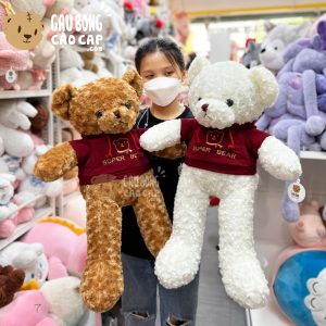 Gấu Teddy Lông Xoắn Mặc Áo Hoodie Super Bear