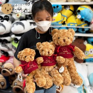 Gấu Teddy Lông Xoắn Mặc Áo Hoodie Super Bear