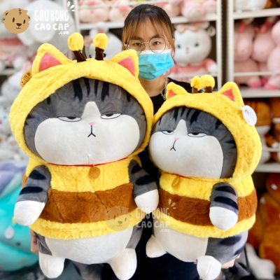 Mèo Bông Hoàng Thượng cosplay Ong Vàng