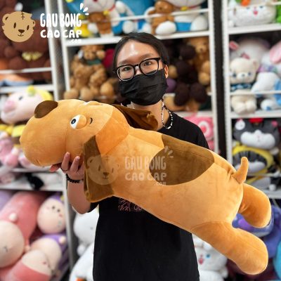 Chó Bông tai dài nằm lông mịn
