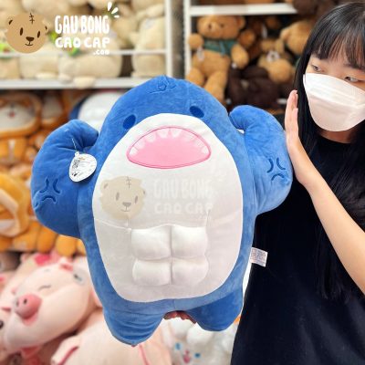 Gấu Bông Cá Mập Tập Tạ 4 múi