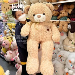 Gấu Teddy lông xoắn Ngực thêu Gấu My Heart