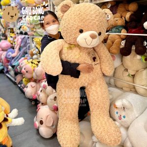Gấu Teddy lông xoắn Ngực thêu Gấu My Heart