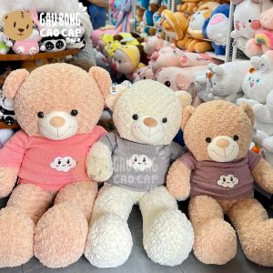 Gấu Bông Teddy lông xoắn mặc áo len Đám Mây Biểu Cảm