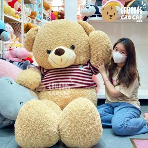 Gấu Teddy áo len cafe sữa