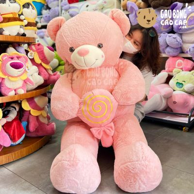 Gấu Teddy Smooth ôm kẹo