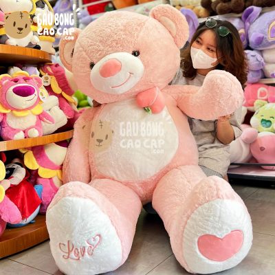 Gấu Teddy Smile ngực đính trái Đào
