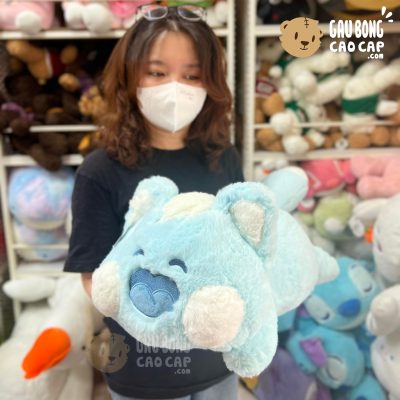 Mèo Bông DuDu nằm lông Smooth