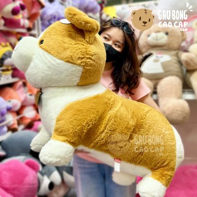 Chó Bông Corgi Đứng 4 Chân
