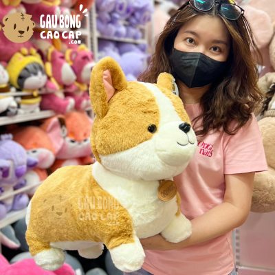 Chó Bông Corgi Đứng 4 Chân