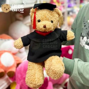 Gấu Teddy tốt nghiệp lông xù 40cm
