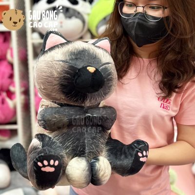 Mèo Đen ngồi mắt nhắm