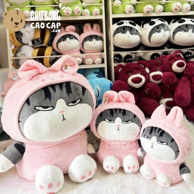Mèo Bông Hoàng Thượng Cosplay Thỏ Hồng