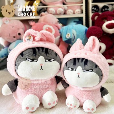 Mèo Bông Hoàng Thượng Cosplay Thỏ Hồng