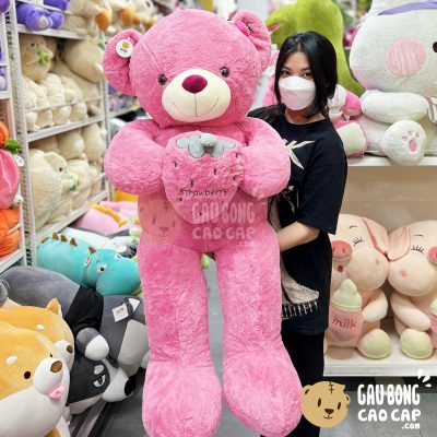 Gấu Teddy ôm Quả Dâu