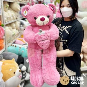Gấu Teddy ôm Quả Dâu