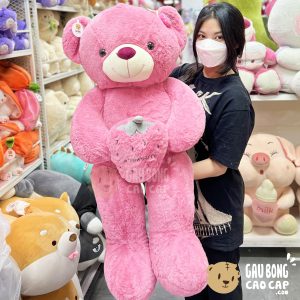 Gấu Teddy ôm Quả Dâu