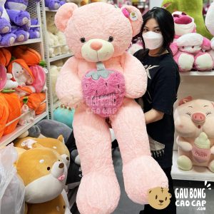 Gấu Teddy ôm Quả Dâu