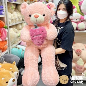 Gấu Teddy ôm Quả Dâu