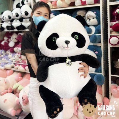Gấu Trúc Bông - Gấu Bông Panda