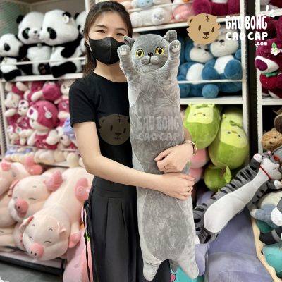 Mèo Bông xám gối ôm dài