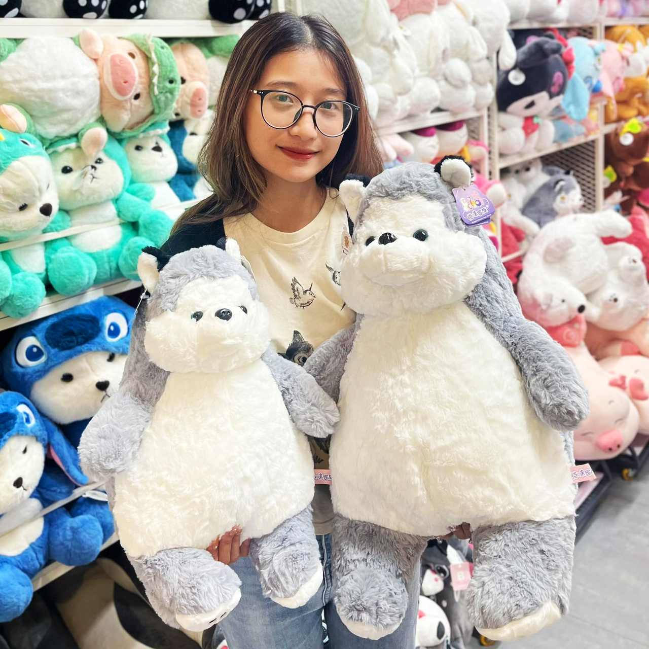 Chó Bông Huksy Béo Phì lông Smooth - Shop Chó Bông - gaubongcaocap.com