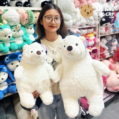 Gấu Bông Bắc Cực Béo Phì lông Smooth