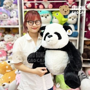 Gấu Trúc Bông A Bảo
