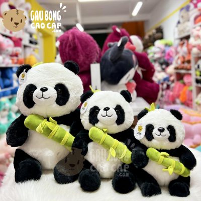 Gấu Trúc Panda ngồi ôm Tre Xanh