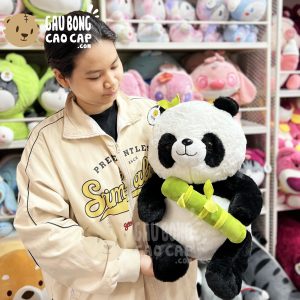 Gấu Trúc Panda ngồi ôm Tre Xanh