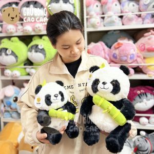Gấu Trúc Panda ngồi ôm Tre Xanh