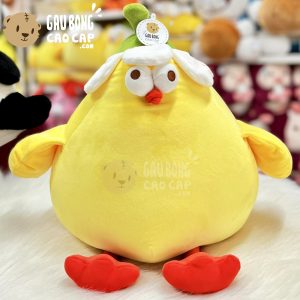 Gà Bông Dundun lông mịn