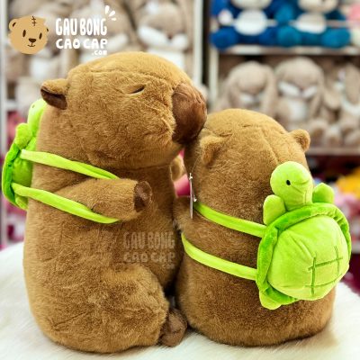Chuột Bông Capybara đeo Balo Rùa