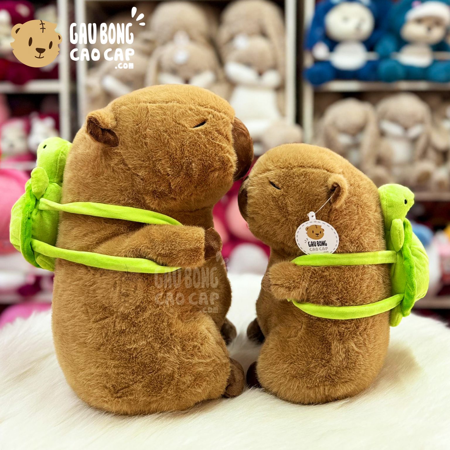 Chuột Bông Capybara đeo Balo Rùa - Shop Chuột Bông - gaubongcaocap.com