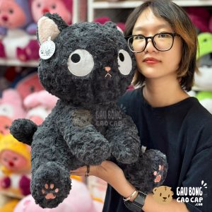 Mèo Bông đen mắt liếc