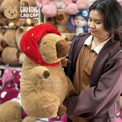 Chuột Bông Capybara đội nón Dâu Đỏ