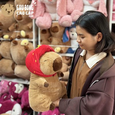 Chuột Bông Capybara đội nón Dâu Đỏ