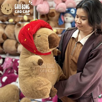 Chuột Bông Capybara đội nón Dâu Đỏ