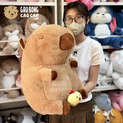 Chuột Bông Capybara lộ hàng Gà con