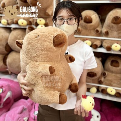 Chuột Bông Capybara lộ hàng Gà con