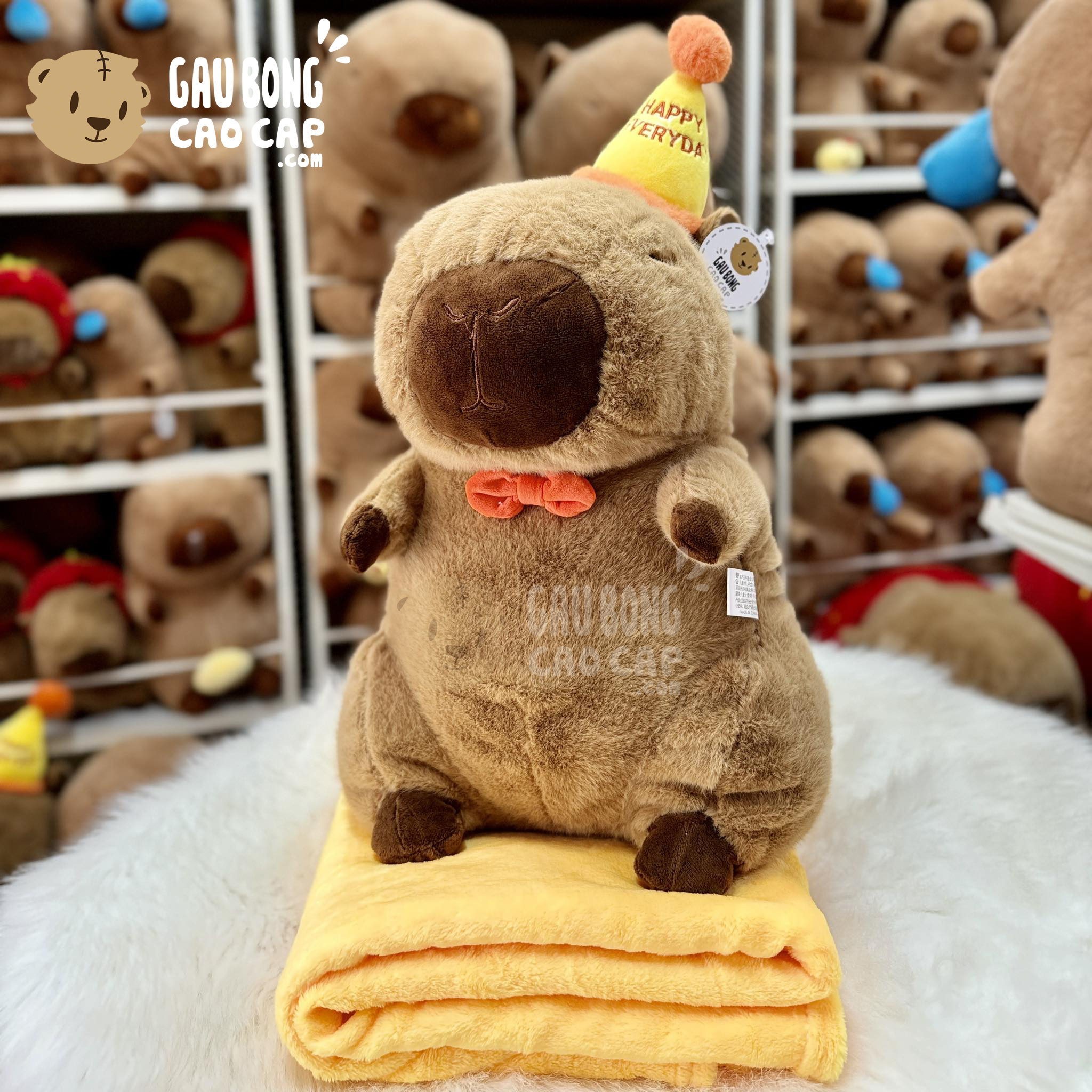 Gấu Bông Capybara đội nón Sinh Nhật có mền 2in1