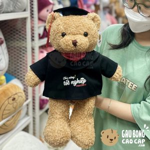 Gấu Teddy tốt nghiệp lông xù 50cm