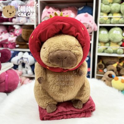 Gấu Bông Capybara đội nón Dâu có mền 2in1
