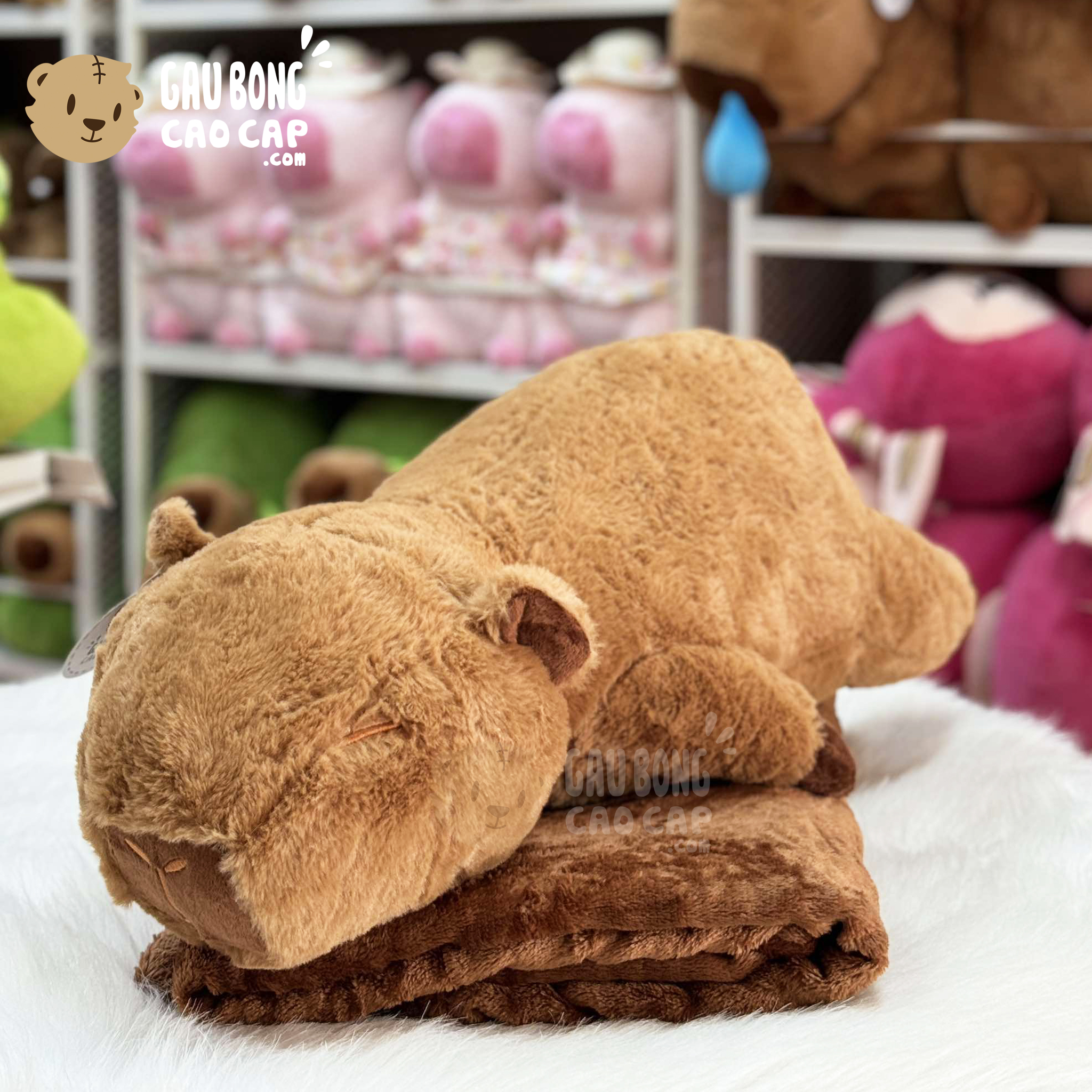 Gấu Bông Capybara nằm ngủ có mền 2in1